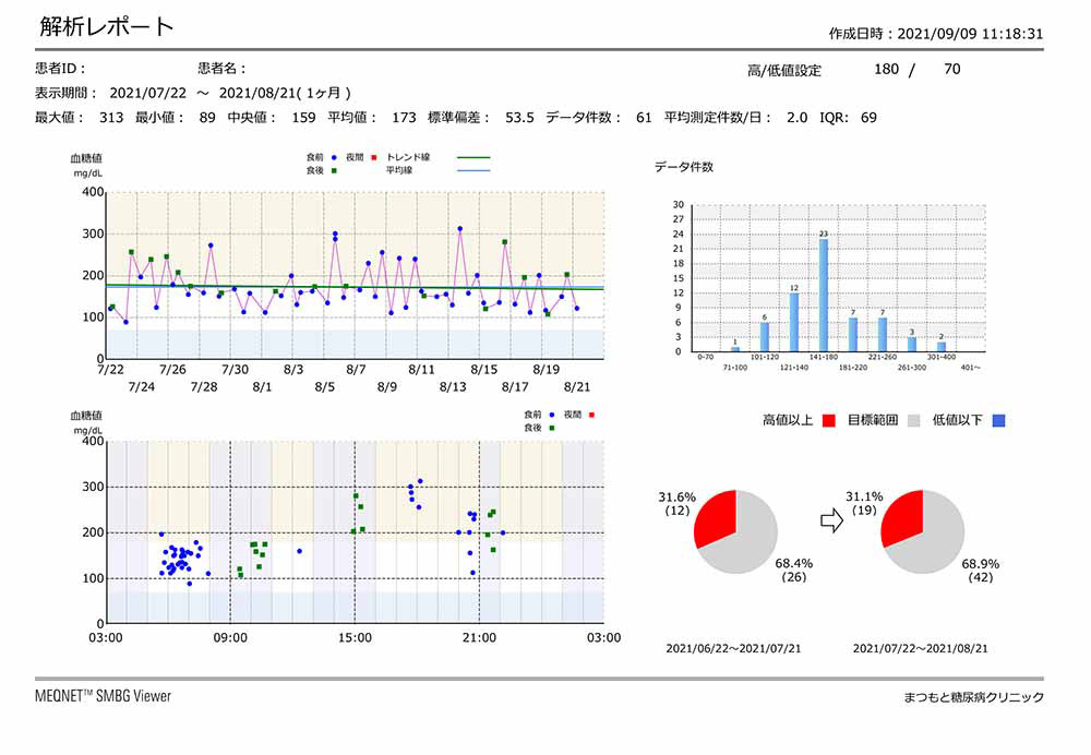 解析レポート